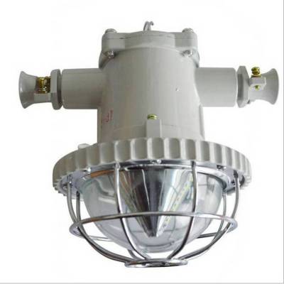 矿用LED防爆照明灯 50W70W圆形种类全厂家直供发货快 中重