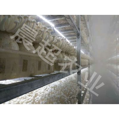 河北晨超(图)-出菇网格架价格-大兴安岭地区出菇网格