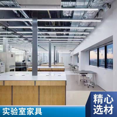 实验室家具工程 实验室实验台厂商生产厂 实验室家具零售