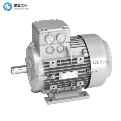 ELEKTRA电机1TZ9001-0CB22-2NA4