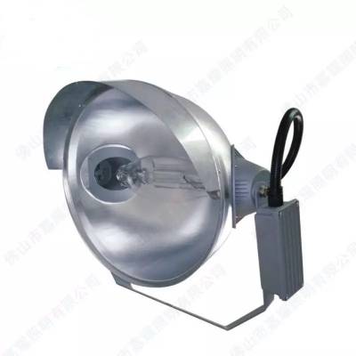 ݹޣ1000W