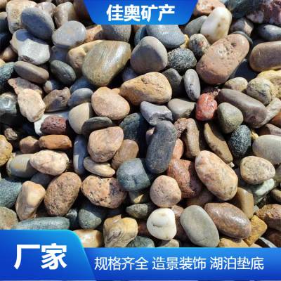 园林铺路鹅卵石3-5公分 公园树坑填充造景装饰 河卵石