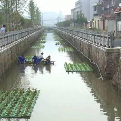 生态浮岛 河道治理 水体绿化 改造工程施工 大型人工浮床