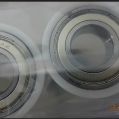 TransverL݆2603 D=50 L=60 ROLLE KOMPLETT6004ZZ