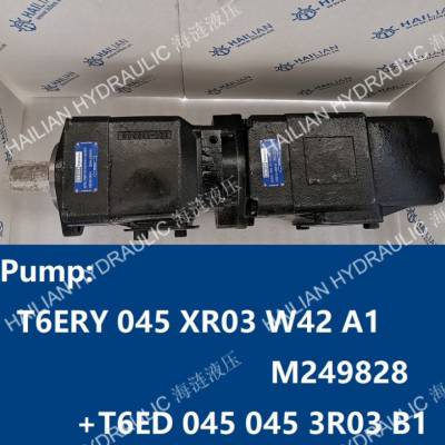 Pump:T6ERY 045 XR03 W42 A1 M249828+T6ED 045 045 3R