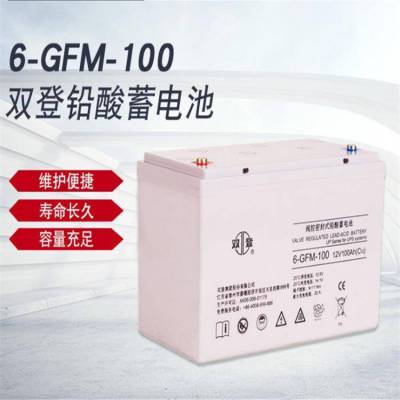 双登蓄电池6-GFM-100 阀控密封式铅酸免维护12V100AH UPS直流屏