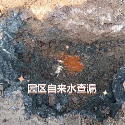 奉贤 地下消防漏水检测 施工团队 随叫随到 地下管道漏水检测