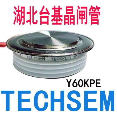 Y60KPĘɿعKP1800A1600V 1800VƵ¯TECHSEMբ