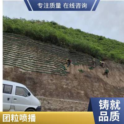 高速公路边坡绿化 三维网喷播复绿 团粒客土喷播施工队 山坡支护工程