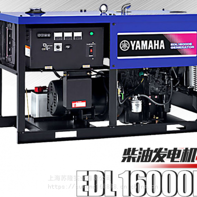 ͷ13.2KVAĳEDL16000E
