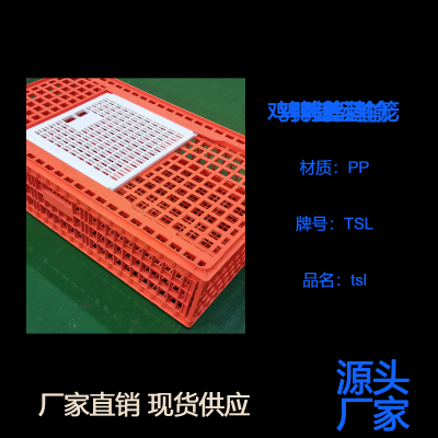 成鸡周转箱 鸡鸭鹅兔笼鸽笼 加厚鸡笼子 天仕利供应