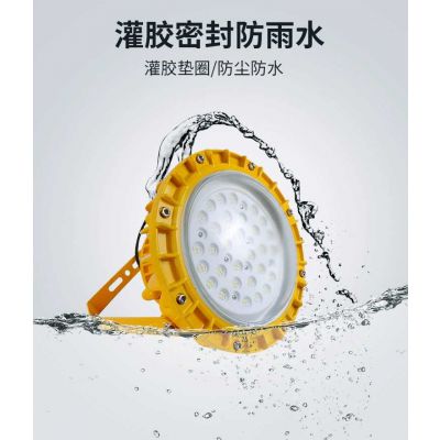 led隔爆型防爆灯30W 仓库厂房隔爆灯220V 防尘工业照明灯