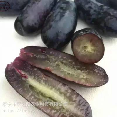 ʯ糧ҡʯǼ