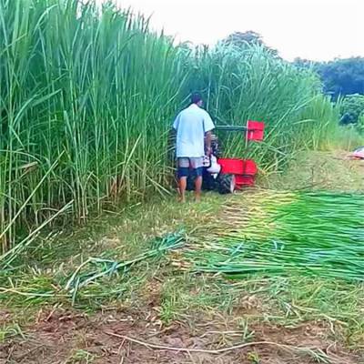 养牛黑麦草收割机 展华质量好苜蓿收割机甜高粱割晒机