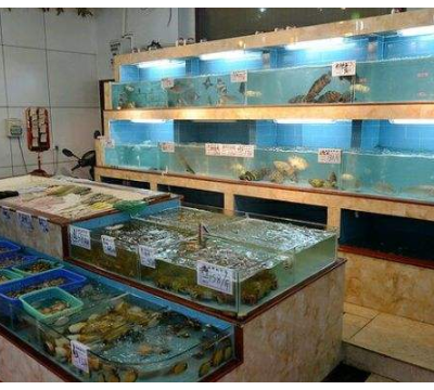五华区酒楼海鲜池批发 客户至上 云南鲸悦水族恒盈鱼缸供应