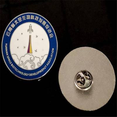 珐琅logo徽章定制 科技发展会议胸章定做 云南定做五金徽章厂