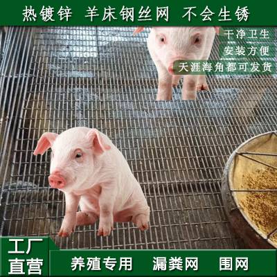 方胤羊床钢丝网漏粪 养羊用漏粪板 鸡鸭鹅养殖铁丝网