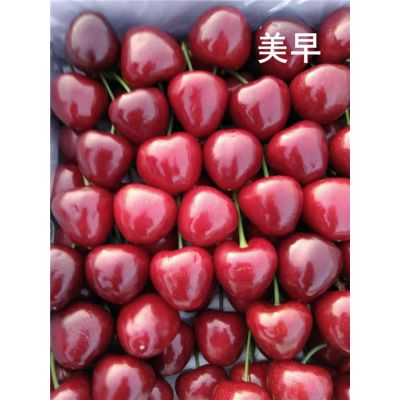 ӣ-ӣ-̩̩Դũ(鿴)