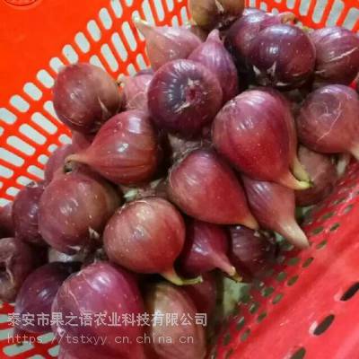 ޻硢ũ޻硢ũ޻