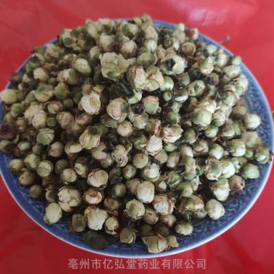 中药材山茶花功效作用 曼阳罗树、宝珠山茶、红茶花、宝珠花、一捻红、耐冬