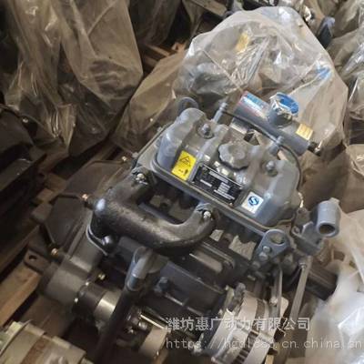 力佳sl2100abt-2双缸柴油机 280轮式拖拉机配套20.6kw发动机