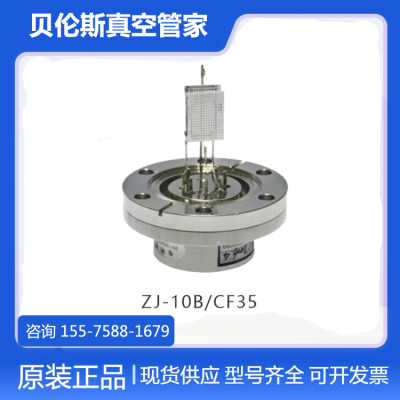 REBORN睿宝真空计 ZJ-10B/CF35 电离真空规管 可开发票