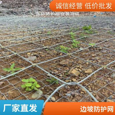 鸿翔边坡防护网 主动覆盖式防护网 刚性被动防护网 新疆防护网厂