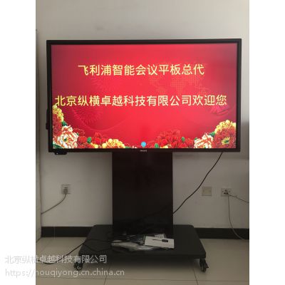 ֣PHILIPS55BDL3001T 55Ӣ紥 Ͷ ôҺӻ(