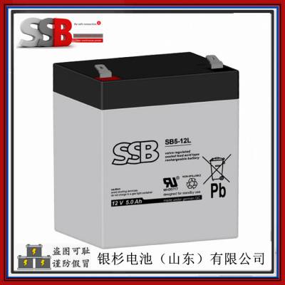 ԭװ ¹SSBSB5-12L ͨ豸12V-5.0AhǦ