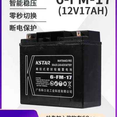 KATSR 6-FM-17Ǧά12V17AHֱUPSԴ