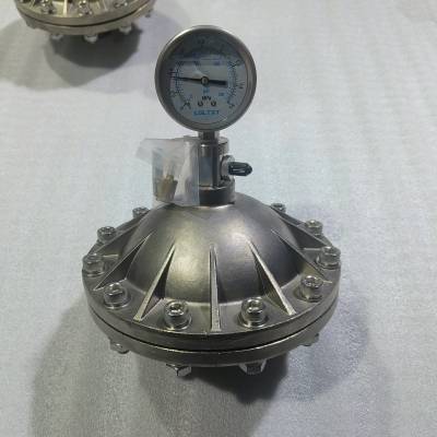 GHMZ-4.0L DN40 DN50 ĤƬʽ˿