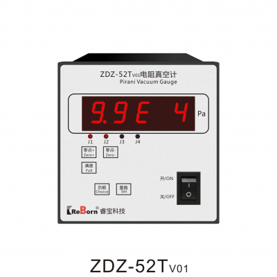 供应睿宝皮拉尼电阻真空计zdz52tv01v03配zj52t规管