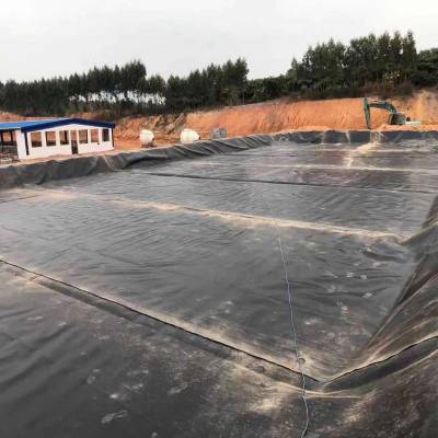 新乡市污水池加盖HDPE黑色土工膜多少钱一平米