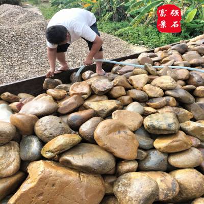 中山园林景观鹅卵石造景 水池围边雨花石 装饰石