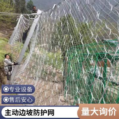 主被动边坡防护网 矿山隧道山体拦石网 柔性钢丝绳护坡固土网