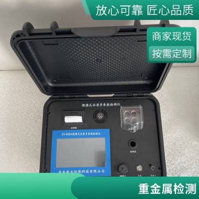 水质监测站检测仪 多参数水质监测系统 便携手持式 新业环保