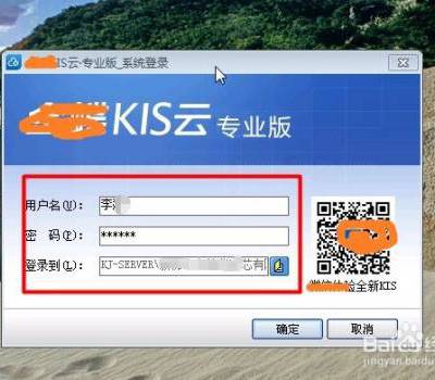 金蝶KIS云标准版 财务软件 支持多用户 总账 报表 固定资产管理系统