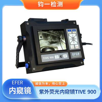  EFER TIVE900  ARGUS 900 ҵڿ 