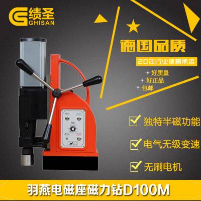 D100MRainBird
