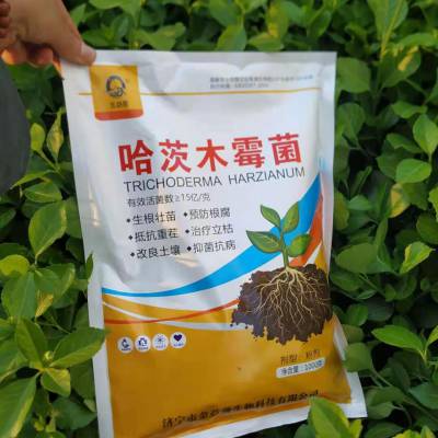 哈茨木霉菌