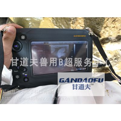 ţBGDF-W6۸񣬲ţBǮ