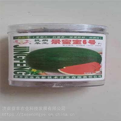 早佳西瓜种子 育种供应西瓜种子价格 规格齐全 益丰种业