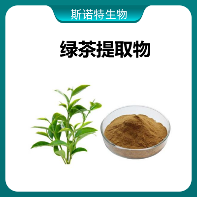 绿茶提取物 斯诺特生物 水溶 可定制