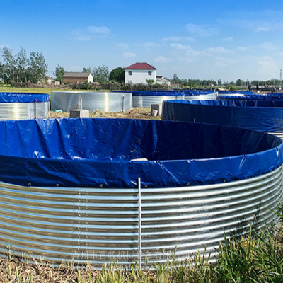 镀锌板水池简易镀锌板支架刀刮布鱼池