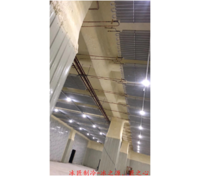 厦门水产冷库建设电话 欢迎来电 福建冰匠制冷技术供应