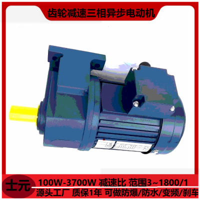 士元齿轮减速电机 GH22-400W-5-S 卧式小金刚减速机 产地直发