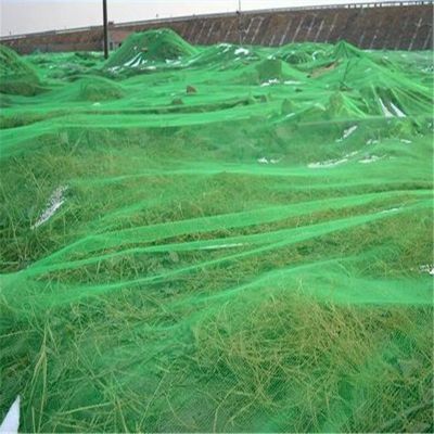 绿化盖垃圾防盖土网 建筑工地环保网 盖煤防尘网库存批发