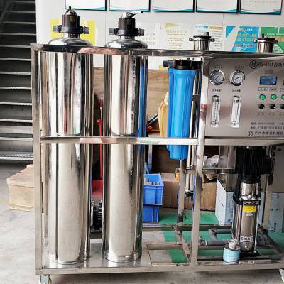 500L自动反渗透装置 纯水设备 水处理供应商
