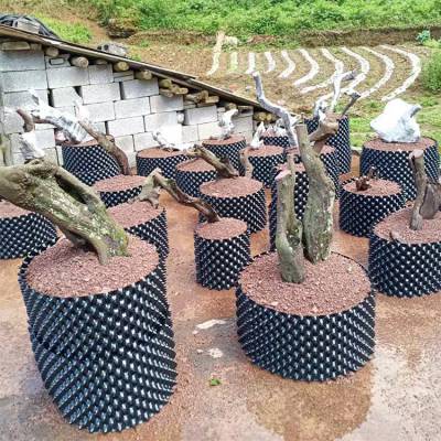 有孔透气控根器厂家报价 菜园用控根器 辉门 排水种植塑料控根器