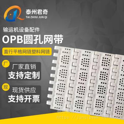 OPB塑料模块网带杀菌喷淋输送网带